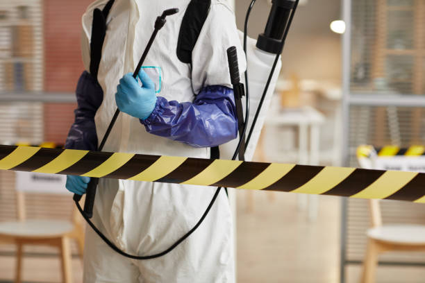 Professional Hoarding Cleanup technician working in Eaton, IN
